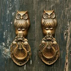 Two antique brass owl door knockers with intricate detail mounted on a weathered wooden door.